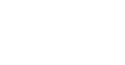 partners who work with Big Baazi