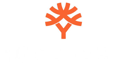 partners who work with Big Baazi